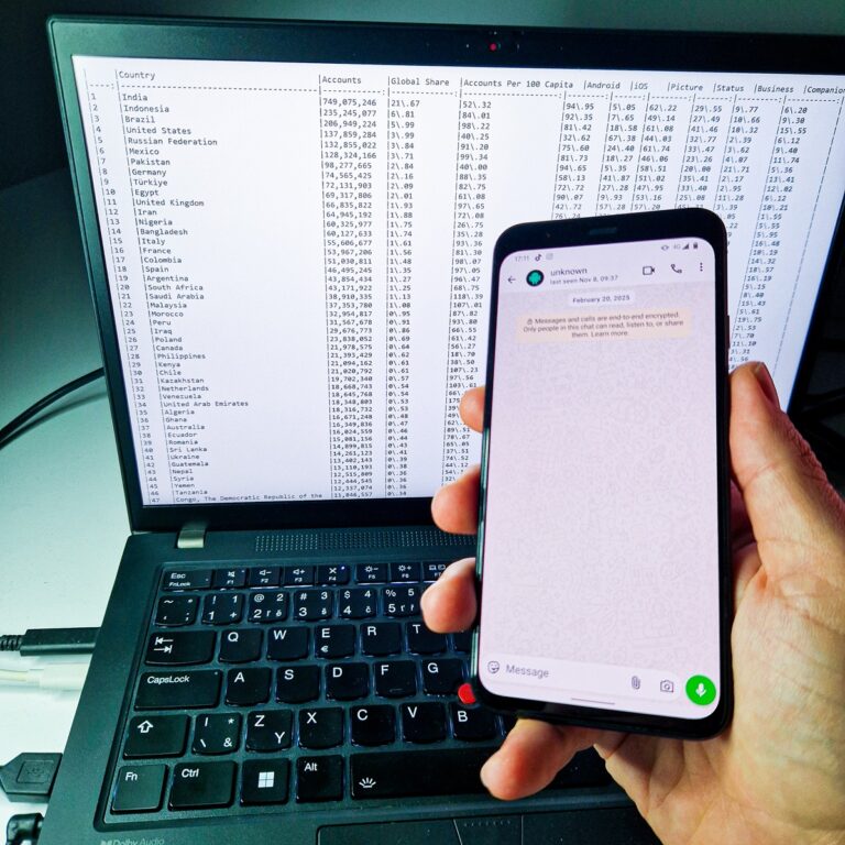 WhatsApp by the Numbers: What Anonymized Metadata from a Security Flaw Reveals